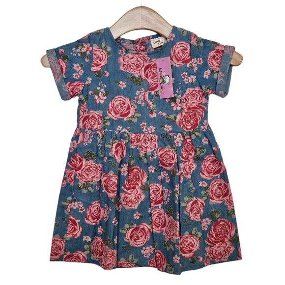 NWT Little Lisa Cheerwin Toddler Dress Size 100 (3-4 Years) Blue And Pink Floral - Picture 1 of 7